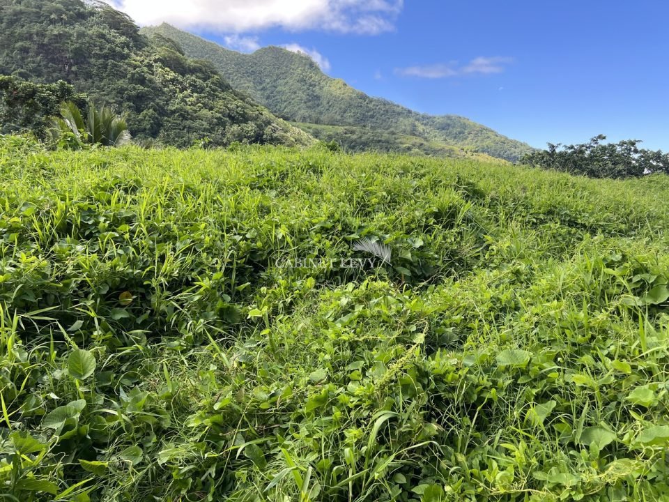 Terrain plat de 900 m2 à vendre à Afareaitu, Moorea (Vue mer, Tahiti)