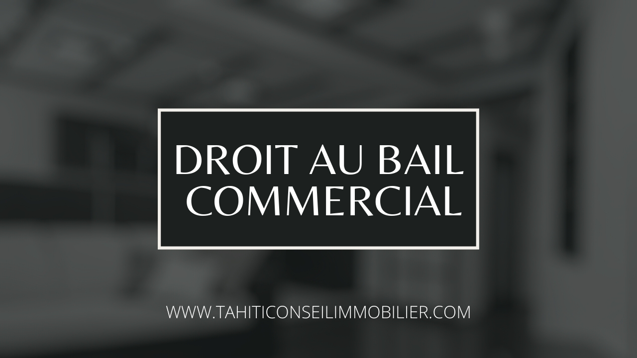 À SAISIR ! FONDS DE COMMERCE – SALON DE MASSAGE À PIRAE