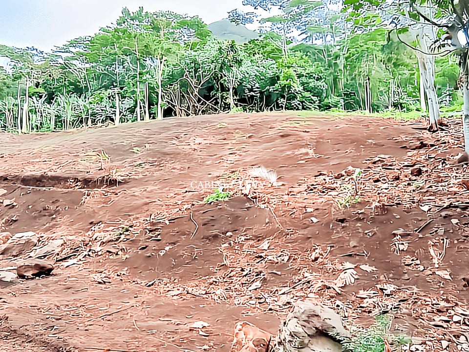 Terrain Constructible de 1600m² à Vendre à Maatea, Moorea - Lot D