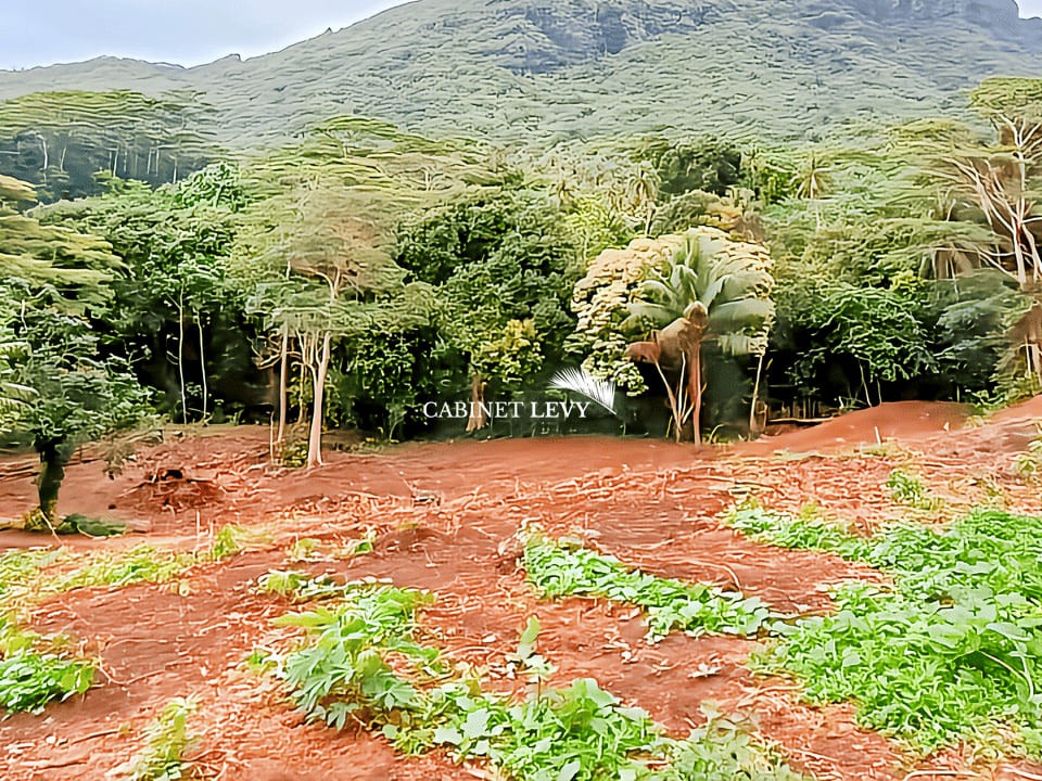Terrain Constructible de 1600m² à Vendre à Maatea, Moorea - Lot C