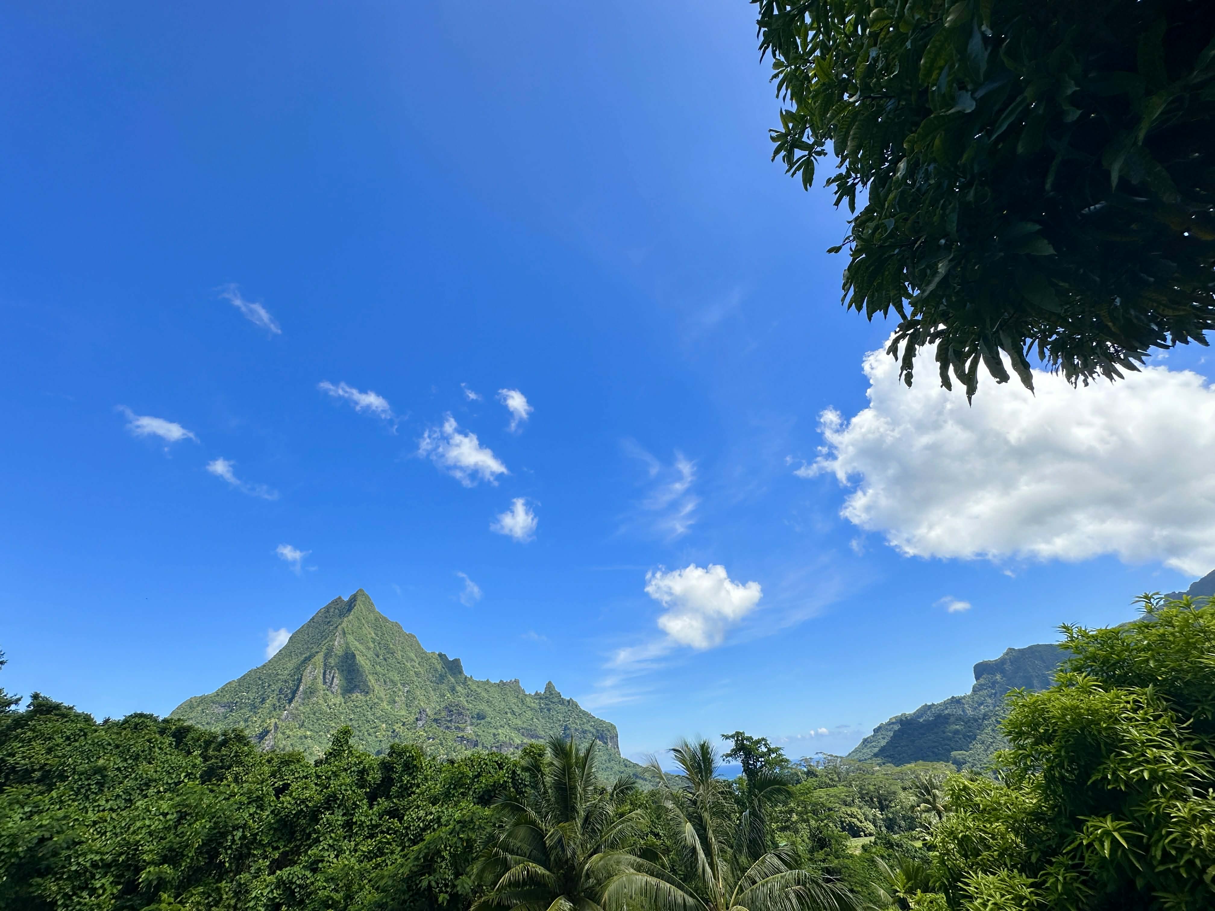 MOOREA-TERRAIN A VENDRE