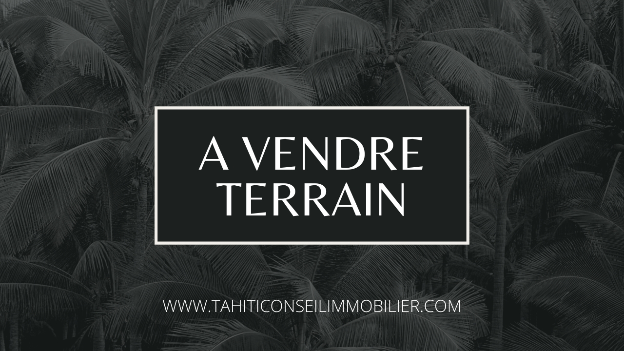 À VENDRE EN EXCLUSIVITÉ – TERRAIN EN RELIEF – PUNAAUIA – SECTEUR ZI PUNARUU