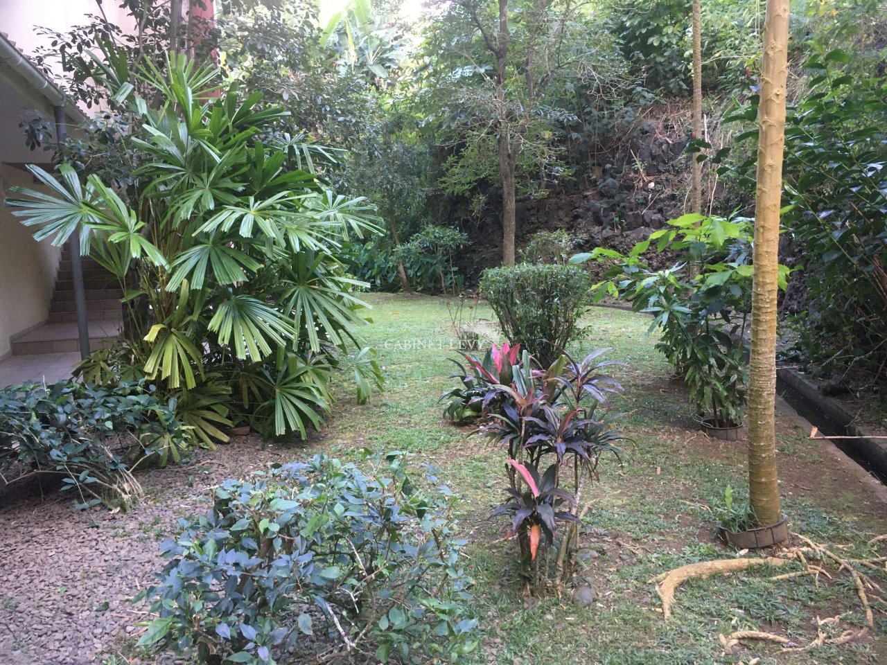 Vue du jardin (côté entrée du bâtiment orientée Est)