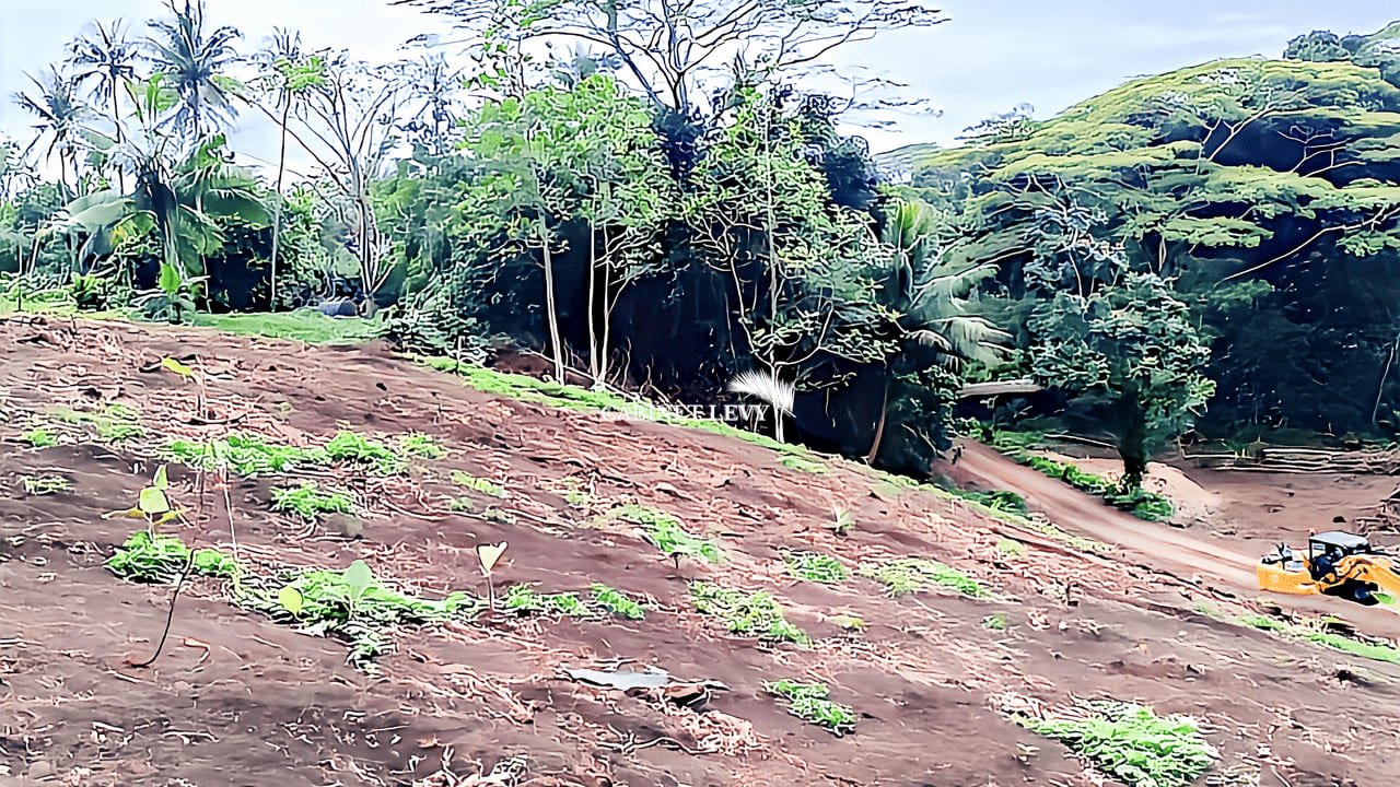 Terrain Constructible de 1600m² à Vendre à Maatea, Moorea - Lot D