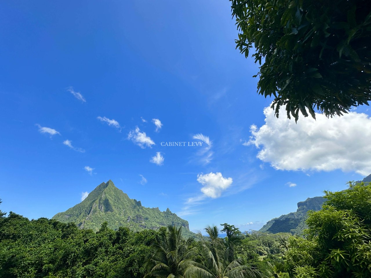 MOOREA-TERRAIN A VENDRE