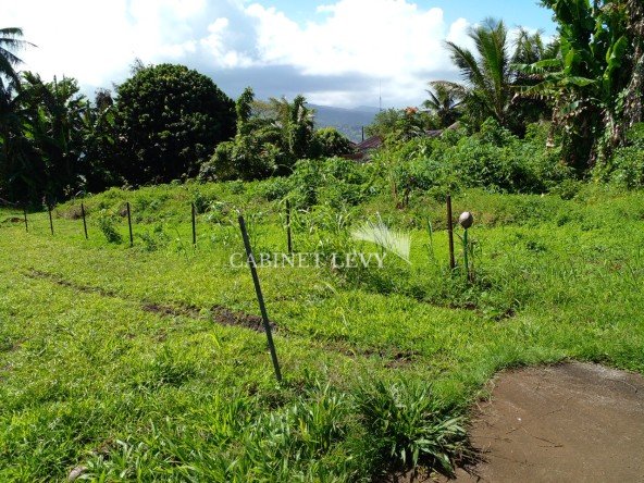 PLATEAU DE TARAVAO TERRAIN NU A LOUER