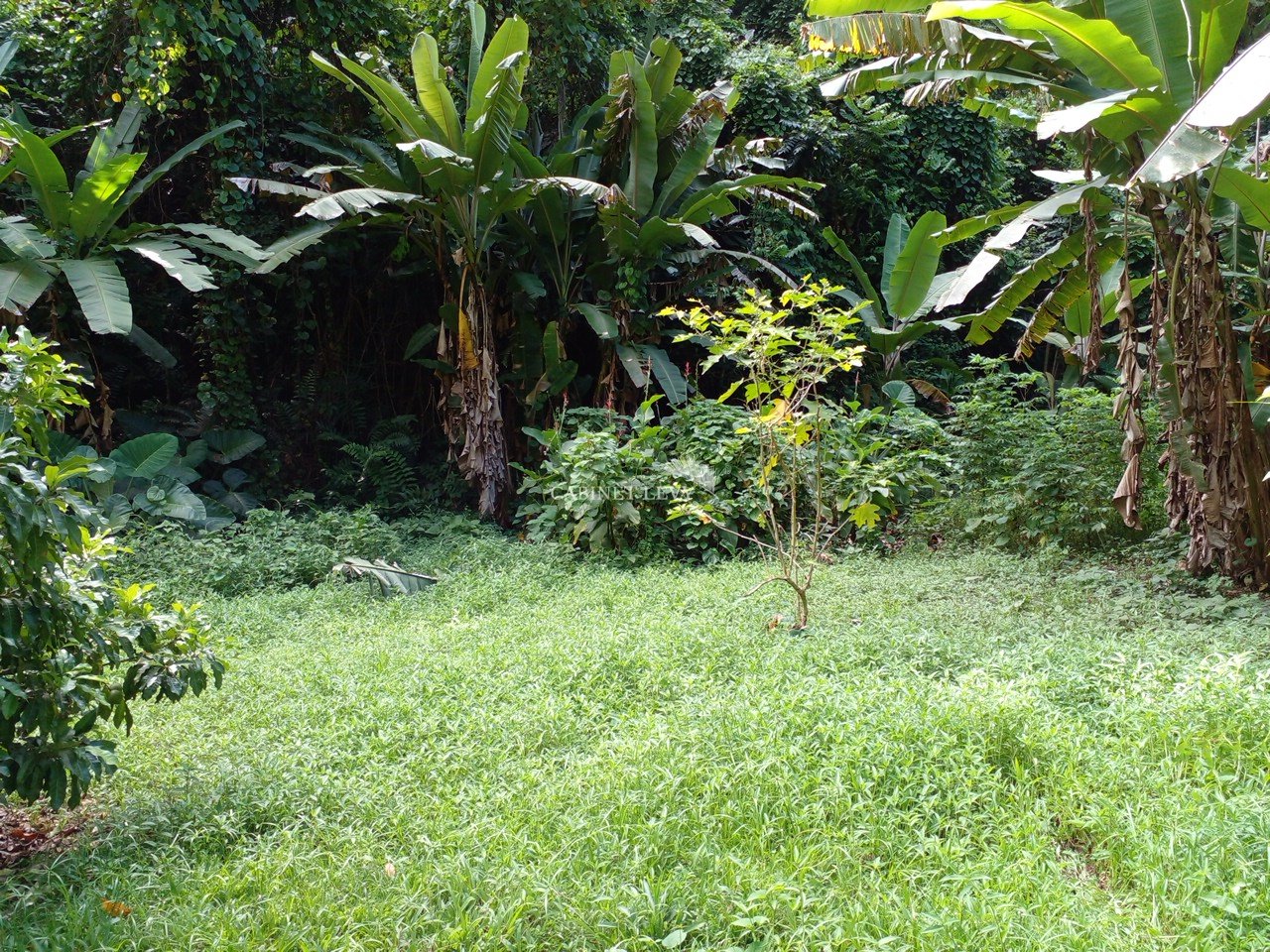 A SAISIR VAIRAO 12000 M2 DE TERRAIN EN PENTE