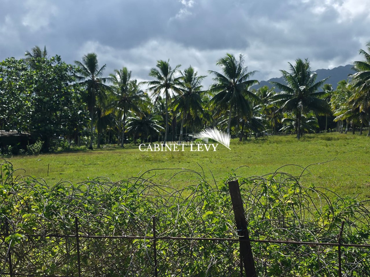  À VENDRE : TERRAIN DE 800 M² À TOAHOTU – VIABILISATION FACILE – PROCHE TARAVAO (LOT 1)