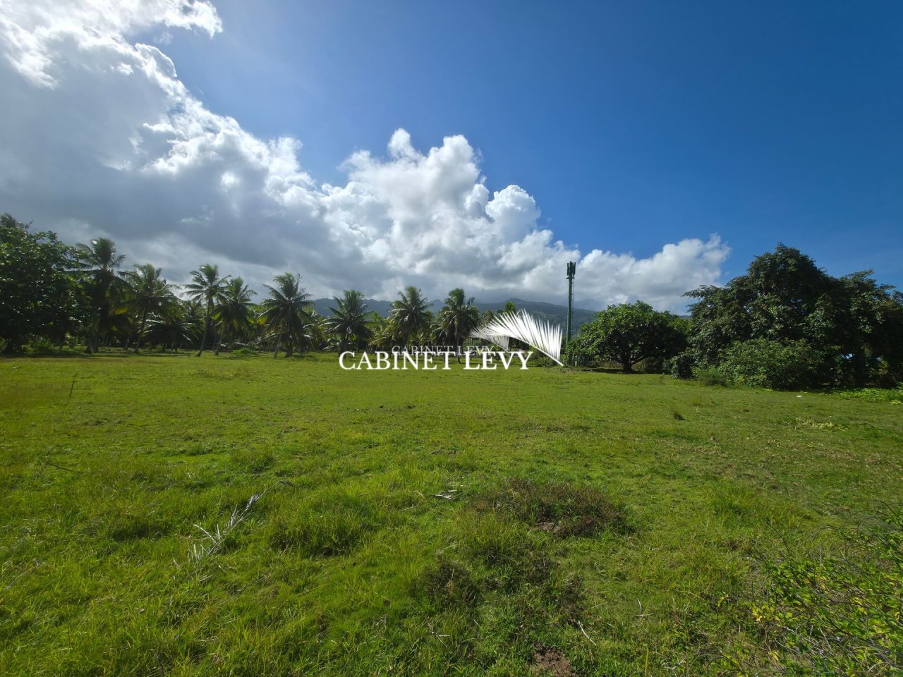  À VENDRE : TERRAIN DE 800 M² À TOAHOTU – VIABILISATION FACILE – PROCHE TARAVAO (LOT 1)