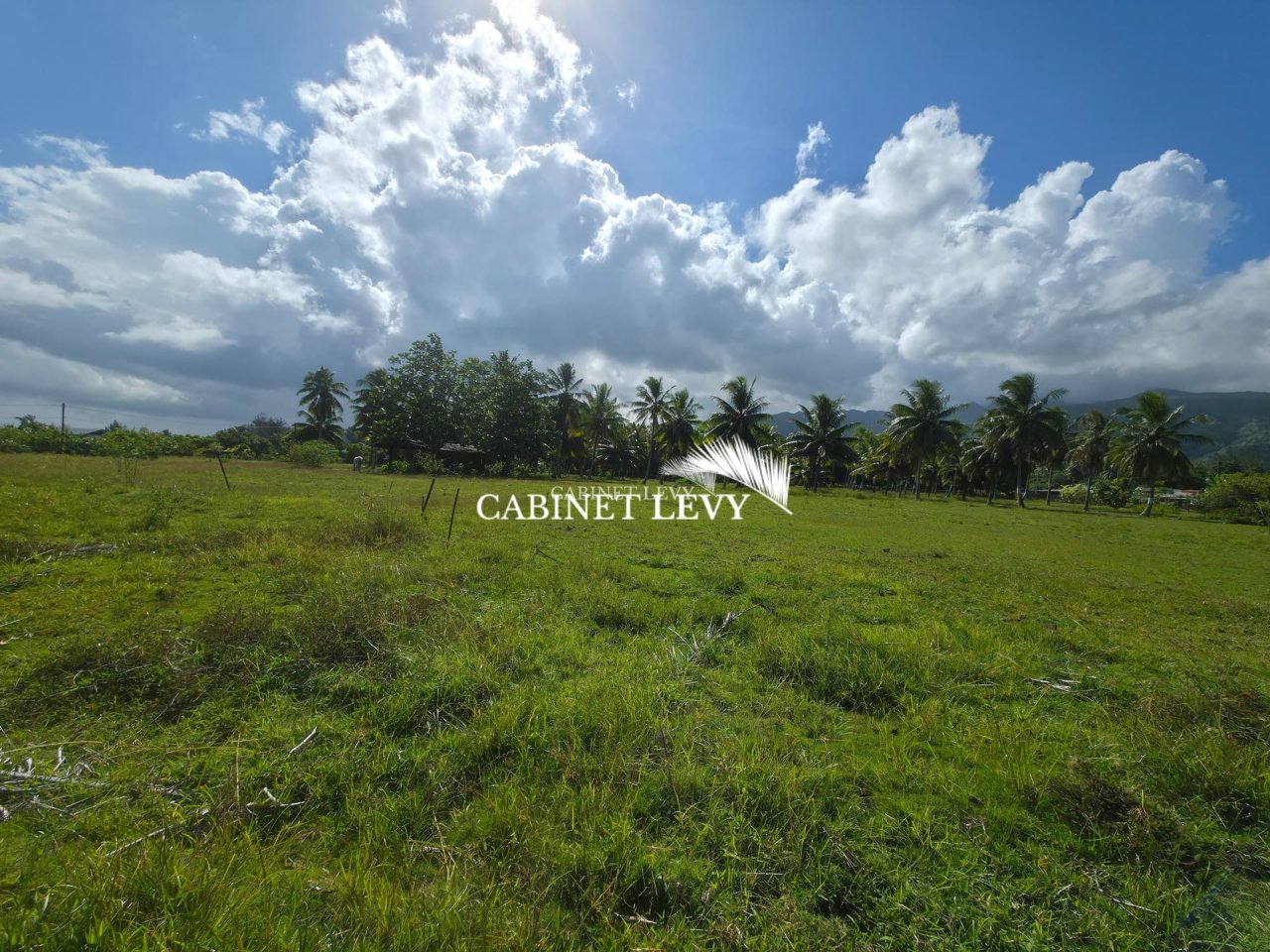  À VENDRE : TERRAIN DE 800 M² À TOAHOTU – VIABILISATION FACILE – PROCHE TARAVAO (LOT 1)