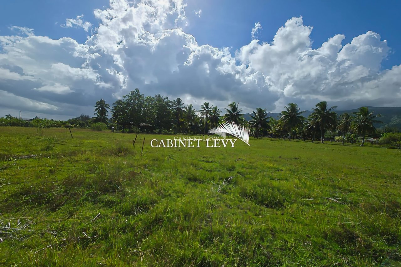 À VENDRE : TERRAIN DE 800 M² À TOAHOTU – VIABILISATION FACILE – PROCHE TARAVAO (LOT 2)