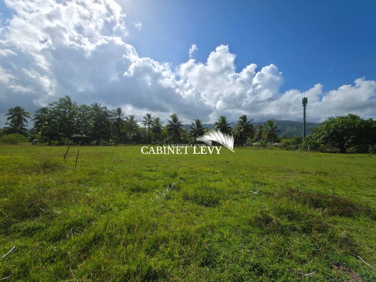  À VENDRE : TERRAIN DE 800 M² À TOAHOTU – VIABILISATION FACILE – PROCHE TARAVAO (LOT 1)