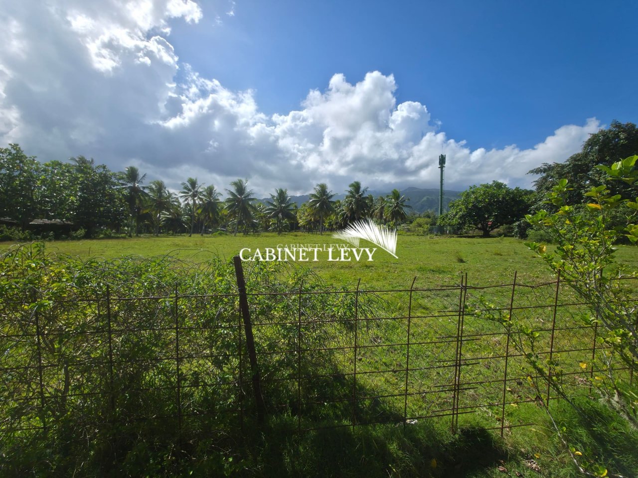  À VENDRE : TERRAIN DE 800 M² À TOAHOTU – VIABILISATION FACILE – PROCHE TARAVAO (LOT 1)