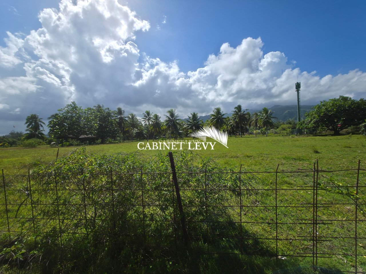  À VENDRE : TERRAIN DE 800 M² À TOAHOTU – VIABILISATION FACILE – PROCHE TARAVAO (LOT 1)