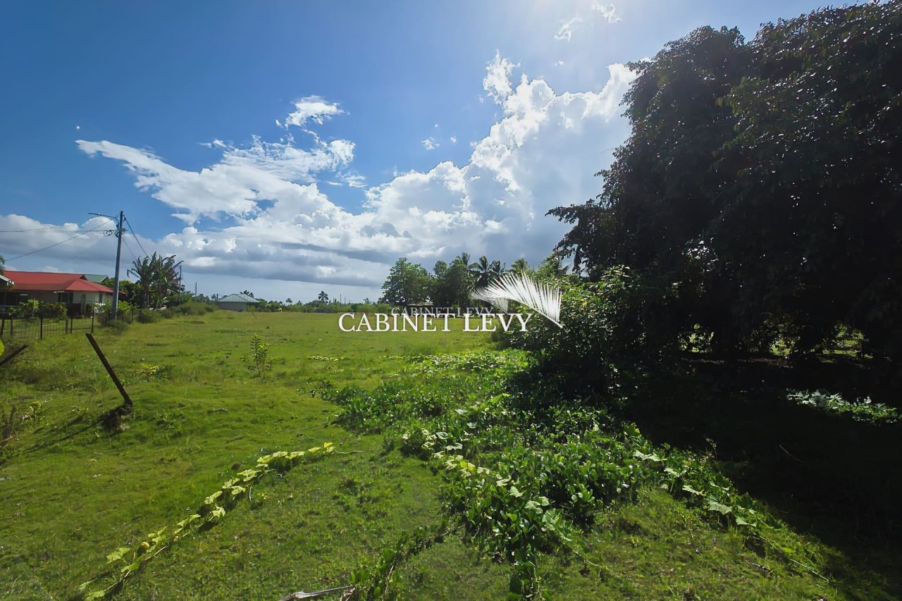 À VENDRE : TERRAIN DE 800 M² À TOAHOTU – VIABILISATION FACILE – PROCHE TARAVAO (LOT 1)