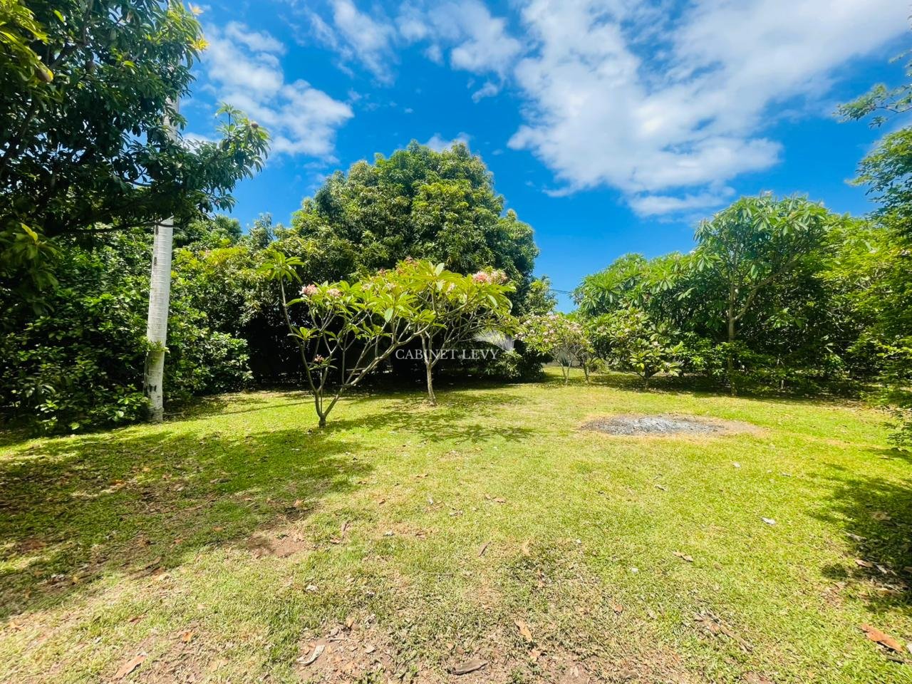 À VENDRE À PUNAAUIA – TERRAIN PLAT, CLOS ET ARBORÉ (côté mer)
