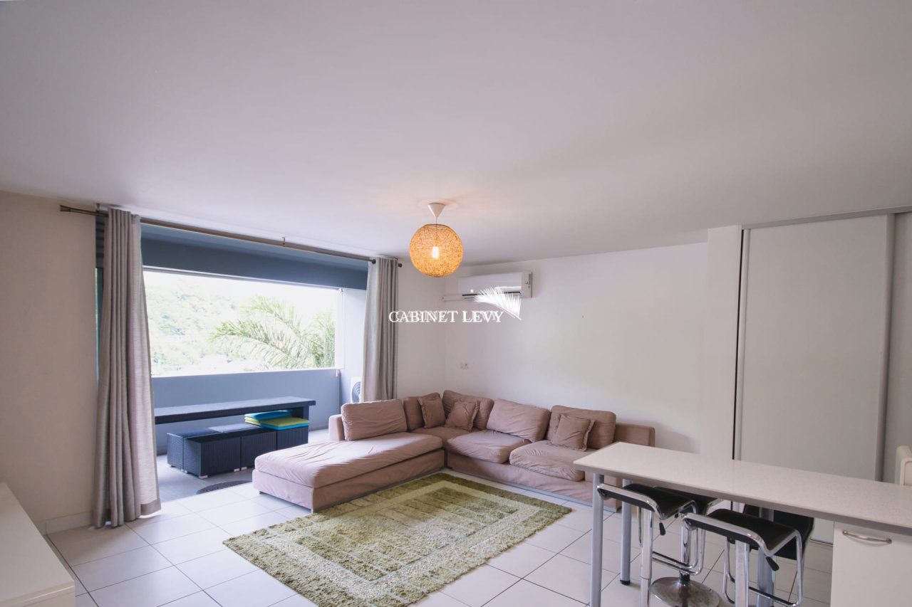 A vendre bel appartement F3 - Début de la route du Pic Rouge à Papeete