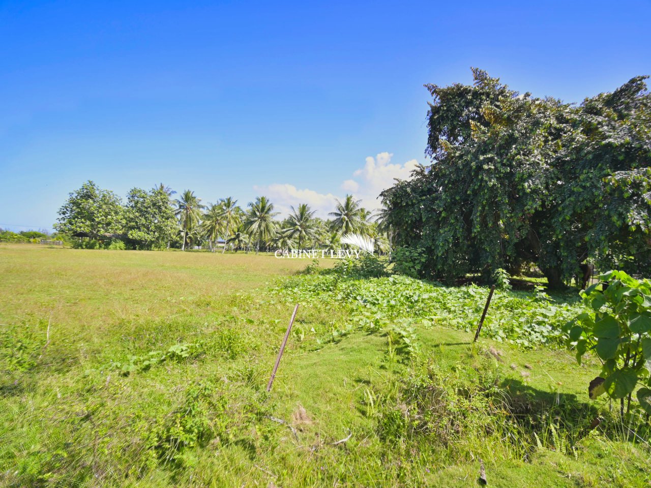 À VENDRE : TERRAIN DE 800 M² À TOAHOTU – VIABILISATION FACILE – PROCHE TARAVAO (LOT 1)