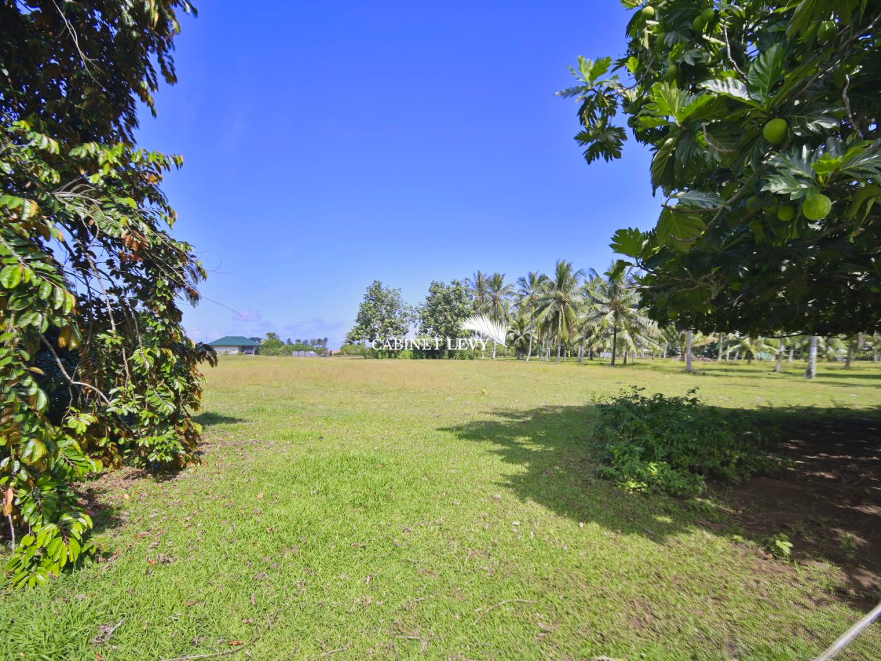 À VENDRE : TERRAIN DE 800 M² À TOAHOTU – VIABILISATION FACILE – PROCHE TARAVAO (LOT 2)