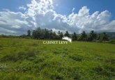  À VENDRE : TERRAIN DE 800 M² À TOAHOTU – VIABILISATION FACILE – PROCHE TARAVAO (LOT 1)