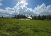  À VENDRE : TERRAIN DE 800 M² À TOAHOTU – VIABILISATION FACILE – PROCHE TARAVAO (LOT 1)