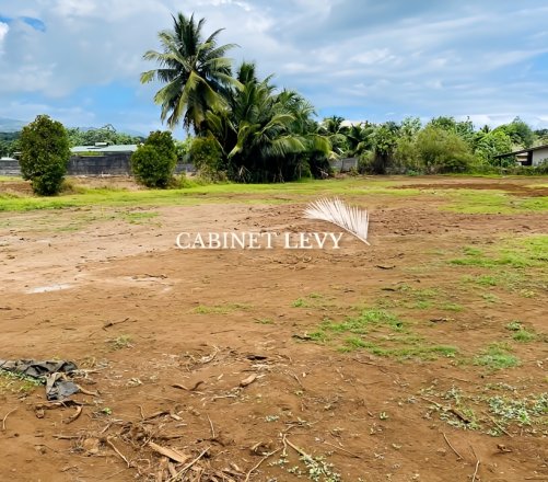 Terrain plat 1027m2 à vendre sur Afaahiti ( Proche centre Taravao )