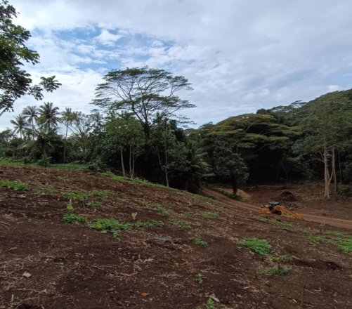 Terrain en pente de 1600m2 à vendre sur Maatea, Moorea. Lot C