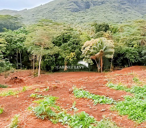 Terrain Constructible de 1600m² à Vendre à Maatea, Moorea - Lot C