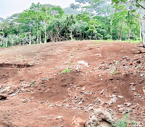 Terrain Constructible de 1600m² à Vendre à Maatea, Moorea - Lot D