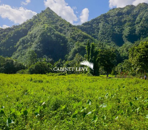 Teahupoo à vendre : magnifique terrain de 5000 m² au Fenua Aihere