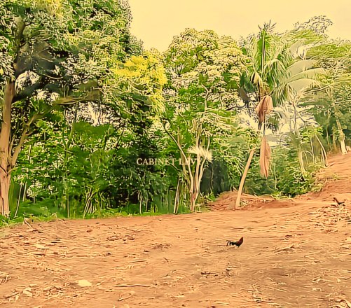 Terrain Constructible de 1600m² à Vendre à Maatea, Moorea - Lot D