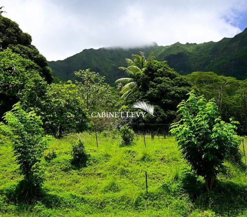 Terrain 30 Hectares à Opoa, Raiatea (Bord de route au haut de montagne – Source d’eau)