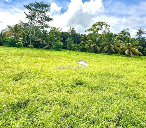 TERRAIN À TARAVAO 2500m2