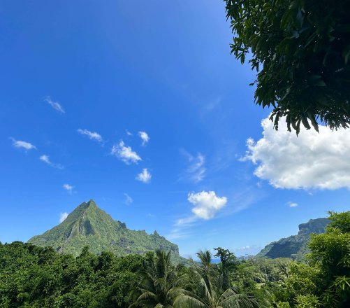 MOOREA-TERRAIN A VENDRE