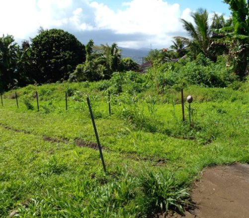 PLATEAU DE TARAVAO TERRAIN NU A LOUER