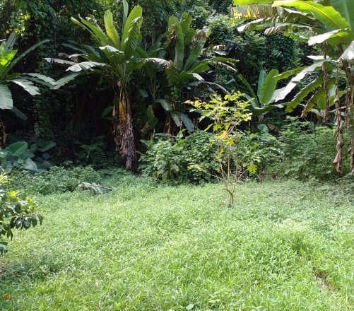 A SAISIR VAIRAO 12000 M2 DE TERRAIN EN PENTE