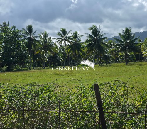 À VENDRE : TERRAIN DE 800 M² À TOAHOTU – VIABILISATION FACILE – PROCHE TARAVAO (LOT 2)