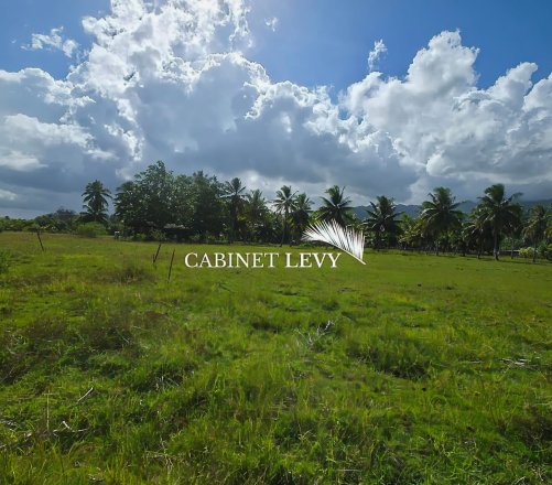 À VENDRE : TERRAIN DE 800 M² À TOAHOTU – VIABILISATION FACILE – PROCHE TARAVAO (LOT 2)