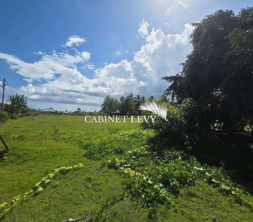 À VENDRE : TERRAIN DE 800 M² À TOAHOTU – VIABILISATION FACILE – PROCHE TARAVAO (LOT 1)