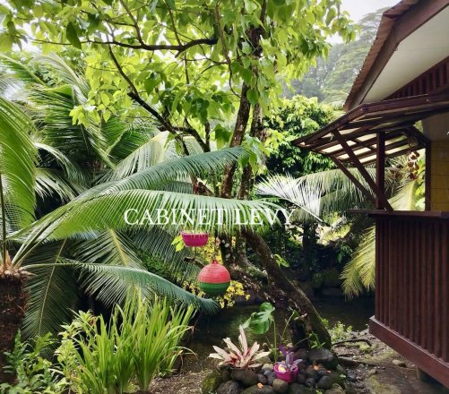 À louer maison F3 "meublée" en bord de mer à Tiarei