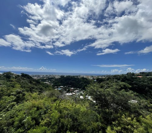 À LOUER À PAPEETE APPARTEMENT T4 MEUBLÉ VUE MER (Hauteurs - La Mission)