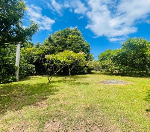 À VENDRE À PUNAAUIA – TERRAIN PLAT, CLOS ET ARBORÉ (côté mer)