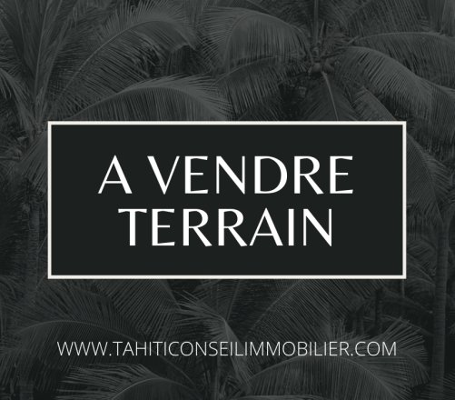 À VENDRE EN EXCLUSIVITÉ – TERRAIN EN RELIEF – PUNAAUIA – SECTEUR ZI PUNARUU