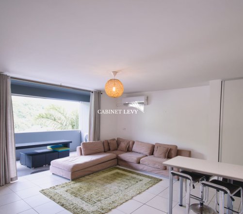 A vendre bel appartement F3 - Début de la route du Pic Rouge à Papeete