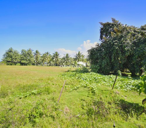 À VENDRE : TERRAIN DE 800 M² À TOAHOTU – VIABILISATION FACILE – PROCHE TARAVAO (LOT 1)