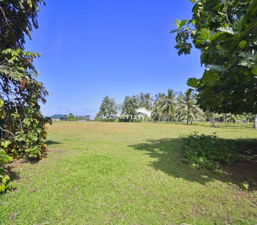À VENDRE : TERRAIN DE 800 M² À TOAHOTU – VIABILISATION FACILE – PROCHE TARAVAO (LOT 2)